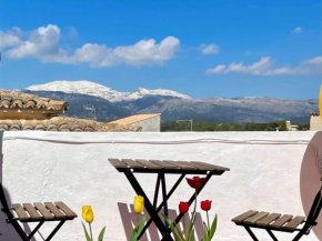 Can Feliu House by Slow Villas